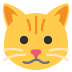 cat_face