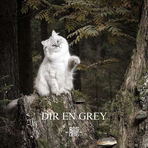 Dir En Grey To Release New Single 朧 Oboro In Spring 21 News Jrock One