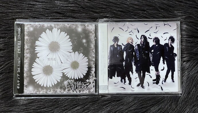 雪月花 & LASTICA