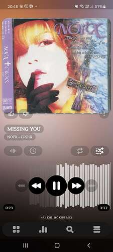 Screenshot_20250413-204809_Poweramp