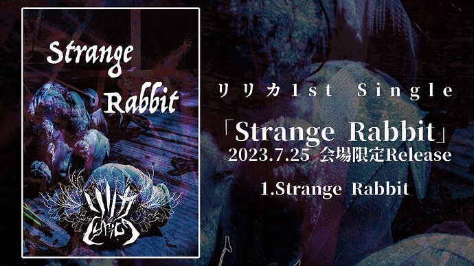 strange rabbit