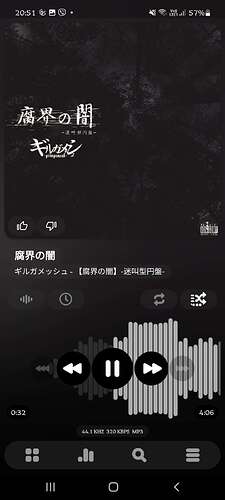 Screenshot_20250413-205149_Poweramp