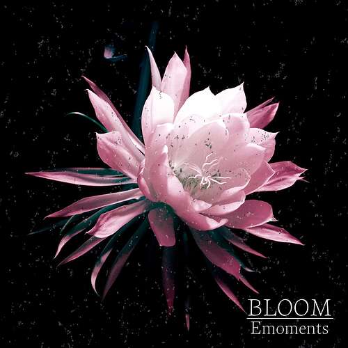 bloom