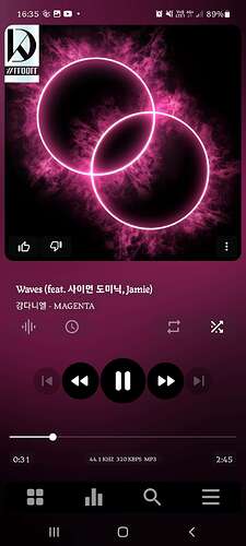 Screenshot_20250529-163516_Poweramp