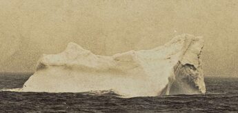 Rehorek-Iceberg-close-e1649790560579