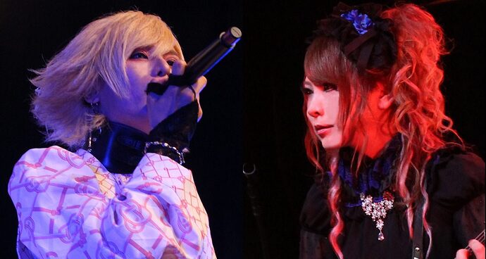 HIZAKI LIVE「Rusalka」[DVD+CD](品)-