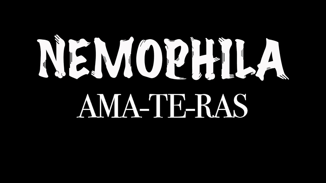 NEMOPHILA / RISE [Official Live Video] 